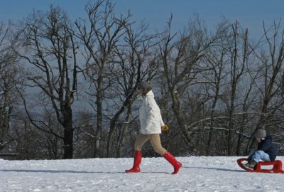 Bárdos Tamás - Kirándulás