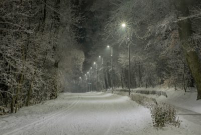 Medgyesy Gábor - Az én Normafám